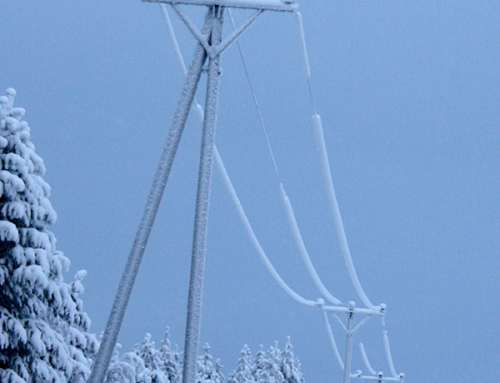 How can companies prepare against electricity shortages and power cuts?